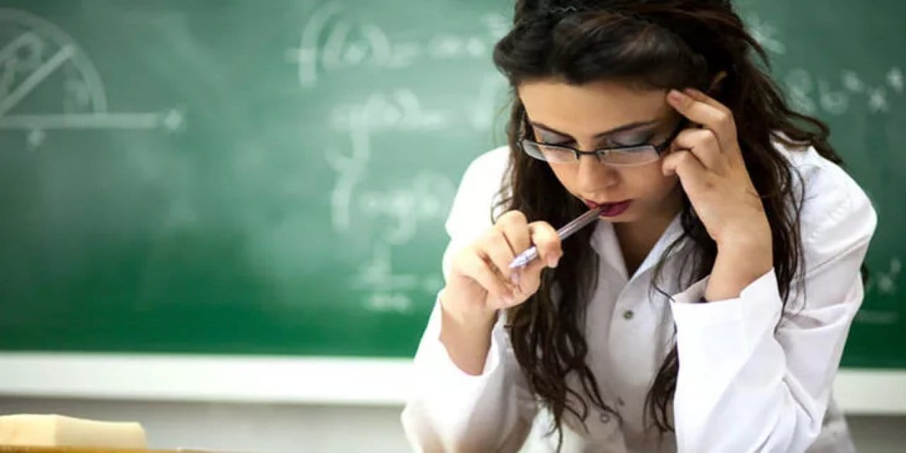 Yabancı Öğretmenlerden Türk Öğretmenlere Övgü