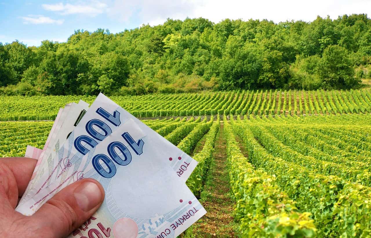 İşte çiftçiye destek kredisinin detayları