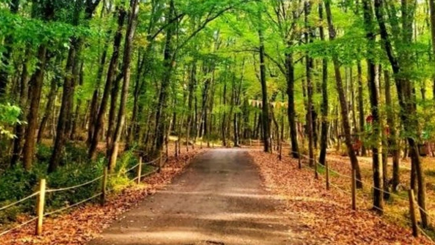 27 ilde ormanlara giriş yasaklandı