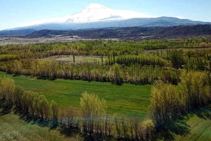 2B arazilerine tapu geliyor! 
