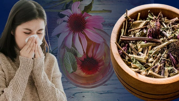 Virüslerden korunma yöntemleri nelerdir?